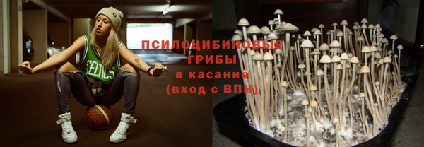 ешки Верея