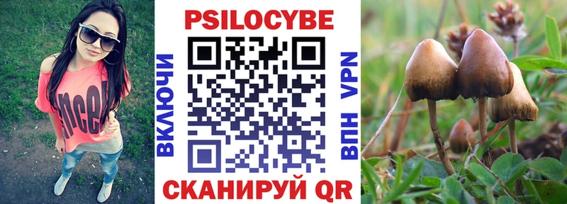 mega   Тбилисская  Галлюциногенные грибы мухоморы 